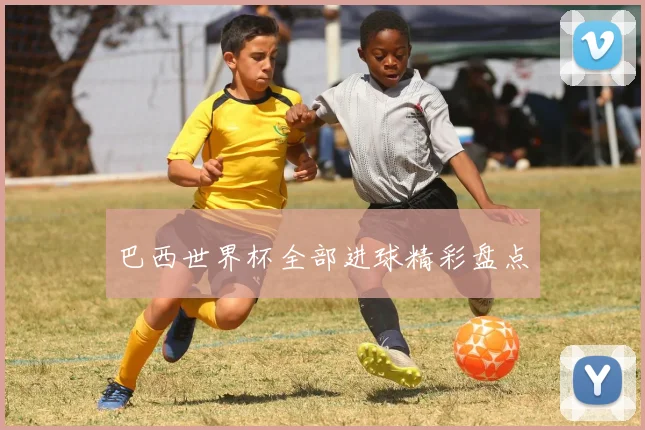 巴西世界杯全部进球精彩盘点
